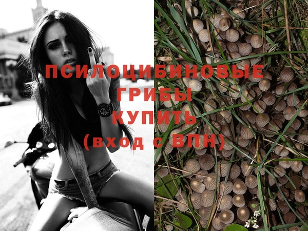 ECSTASY Абаза