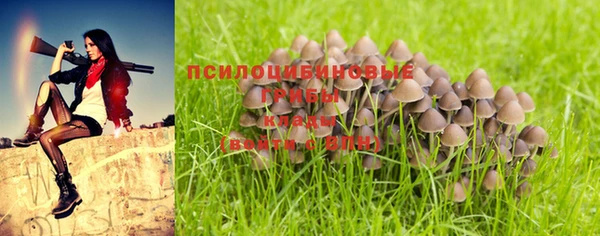 MDMA Premium VHQ Красноперекопск