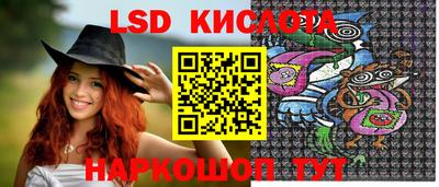 спиды Донской