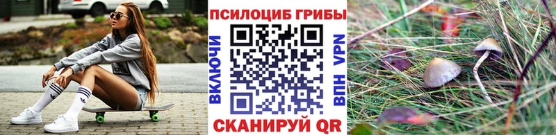 Псилоцибиновые грибы мицелий купить наркоту Скопин