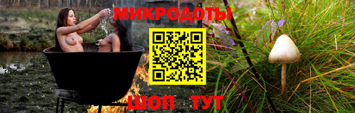 Галлюциногенные грибы мицелий Скопин