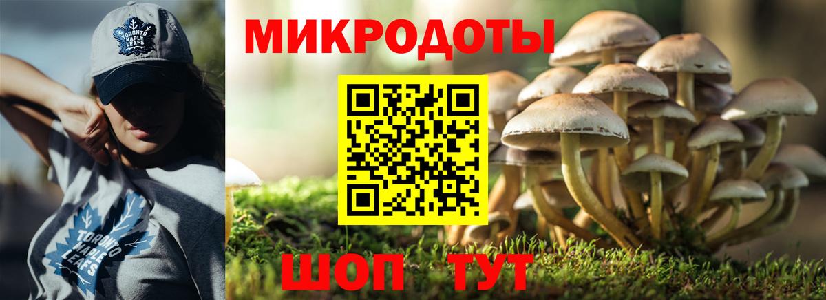 Псилоцибиновые грибы Psilocybe  купить закладку  Псилоцибиновые грибы Psilocybine cubensis  Скопин  Вход с VPN 